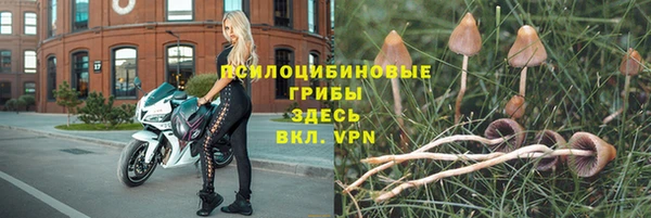 мет Карпинск