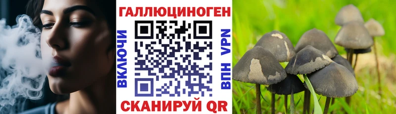 Купить где  Хабаровск  Галлюциногенные грибы MAGIC MUSHROOMS 